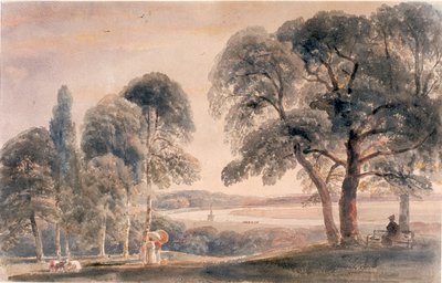 Prati di Weybridge da Peter de Wint